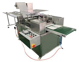4 Side Seal Packaging Machine, PPD-GPP100