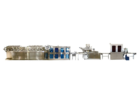 Automatic Wet Wipe Packaging Machine, PPD-BWM