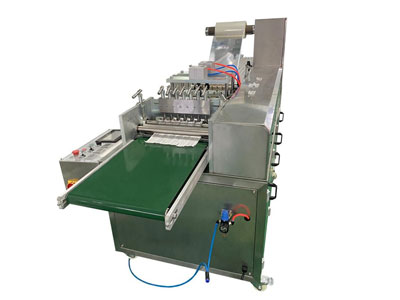 Horizontal Flow Wrapper, PPD-SPM120