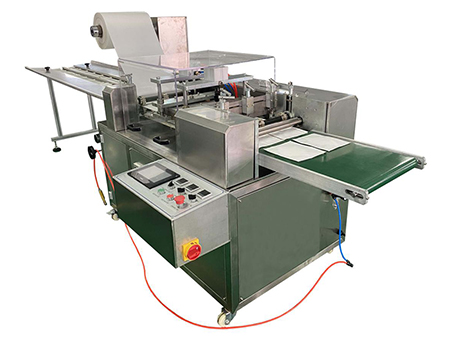 4 Side Seal Packaging Machine, PPD-GPP100