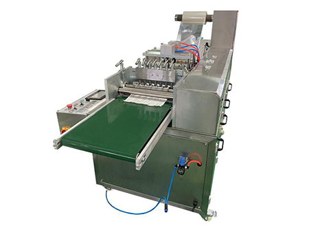 Horizontal Flow Wrapper, PPD-SSP120